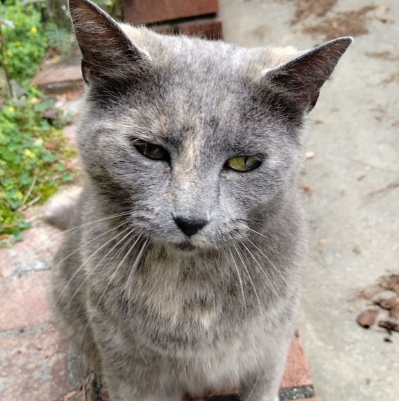 Meet your Posher, Christina - Picture 3 of 6